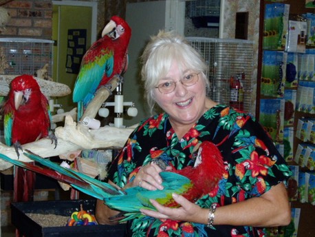 Green Winged Macaws & Terrie3
